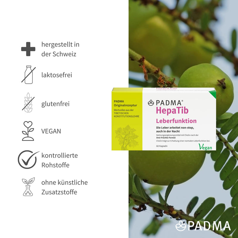 Padma Hepatib 60 Caps. Metabolism And Internal Cleansing | 3 Fruit Formula With Valuable Choline, Which Helps To Maintain Normal Liver Function | With Polyphenols And Tannins | Vegan - NewNest Australia