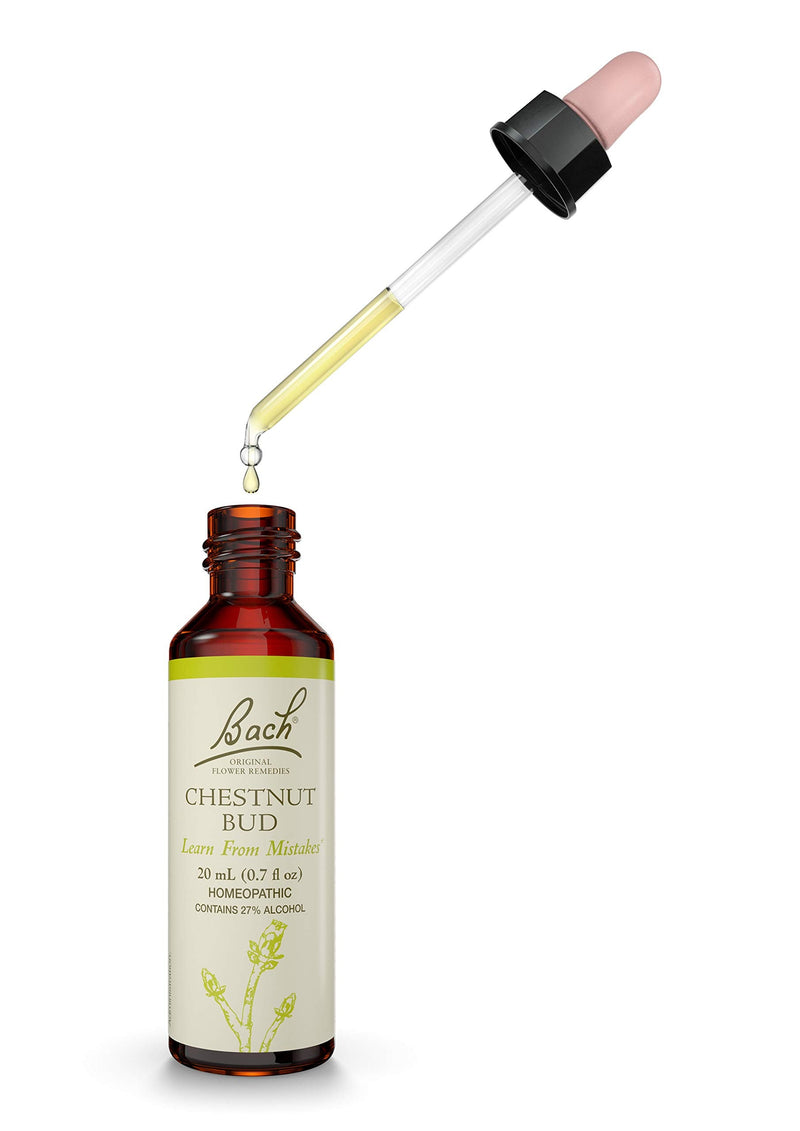 Bach Original Flower Remedies, Chestnut Bud for Learning from Mistakes, Natural Homeopathic Flower Essence, Holistic Wellness and Stress Relief, Vegan, 20mL Dropper - NewNest Australia