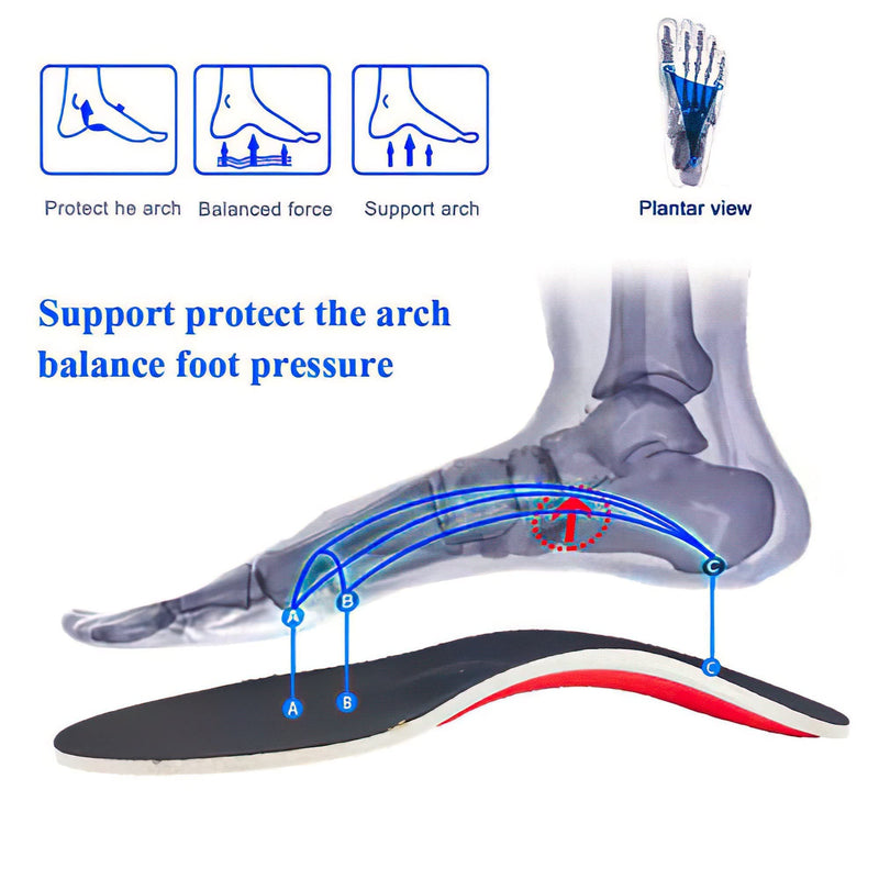 Plantar Fasciitis Relief Arch Support Shoe Inserts Insoles for Flat Feet for Men & Women, Orthotic Feet Heel Pain Shock Absorption Comfortable Insoles, Small EU 35-40, White - NewNest Australia
