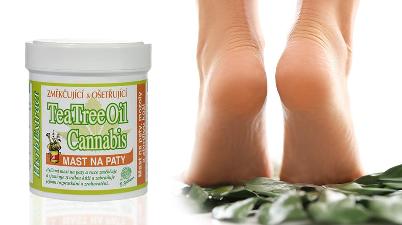 CRACKED FOOT CREAM FOR HEELS, DRY, HARD SKIN and CALLUSES | Natural Antifungal Feet Care and Athlete’s Foot Treatment with Tea Tree and Hemp Seed Oil | Moisturizing Repair Balm 125ml - NewNest Australia