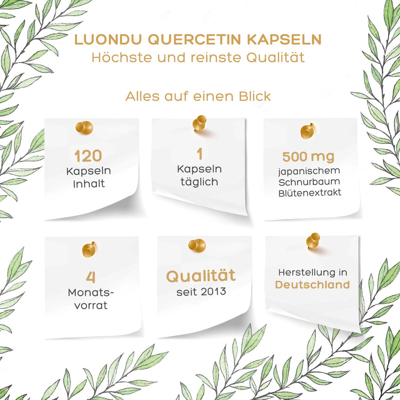 Quercetin 500Mg High Dose - 120 Quercetin Capsules Vegan - Premium Raw Material: Japanese String Tree Flower Extract - Quercetin High Dose - Laboratory Tested, High Dose & No Additives - NewNest Australia