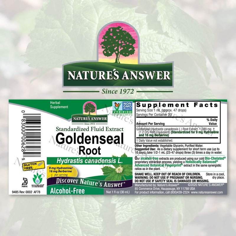 Nature's Answer Goldenseal Root | Herbal Supplement | Supports A Healthy Immune System | Gluten-Free & Alcohol-Free 1oz 1 Fl Oz (Pack of 1) - NewNest Australia