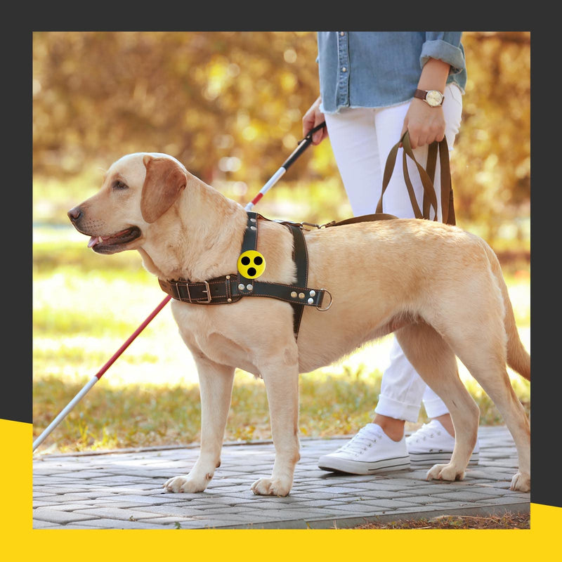 Cindeer Pack Of 4 Blind Signs Blind Badge With Fastening Clamp Blind Badge Blind Badge Visually Impaired Aid For Family Friends Blind Visually Impaired, Yellow And Black - NewNest Australia
