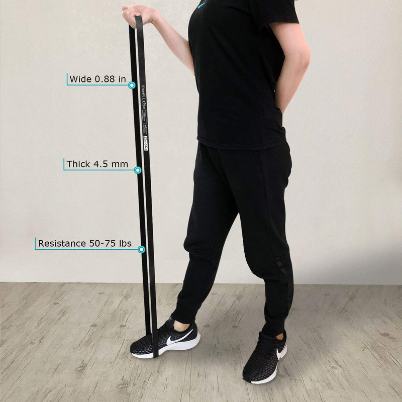 TheFitLife Resistance Pull Up Bands - Pull-Up Assist Exercise Bands, Long Workout Loop Bands for Body Stretching, Powerlifting, Fitness Training, Bonus Carrying Bag and Workout Guide Black - NewNest Australia