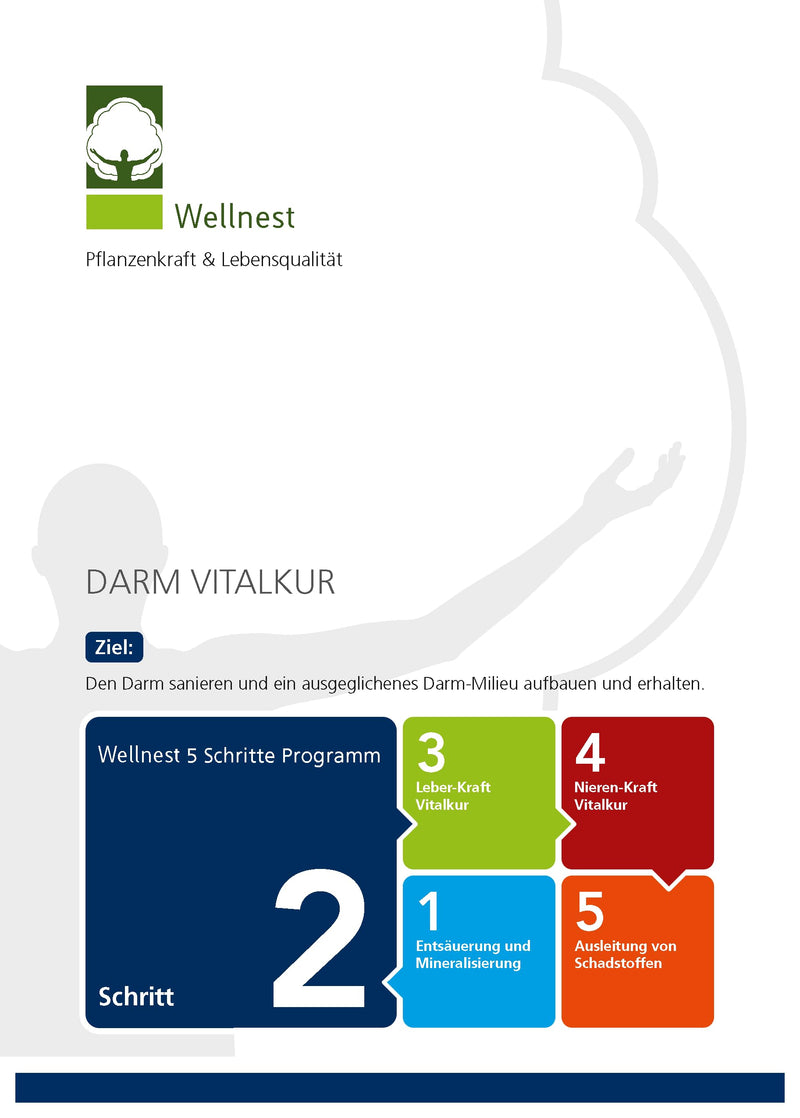 Wellnest ClarkIntest Herbal Bitters Concentrate 100 ml | Intestinal detox treatment vegan | Recipe according to Hulda Clark | With, among other things, black walnut, olive leaf, clove - NewNest Australia