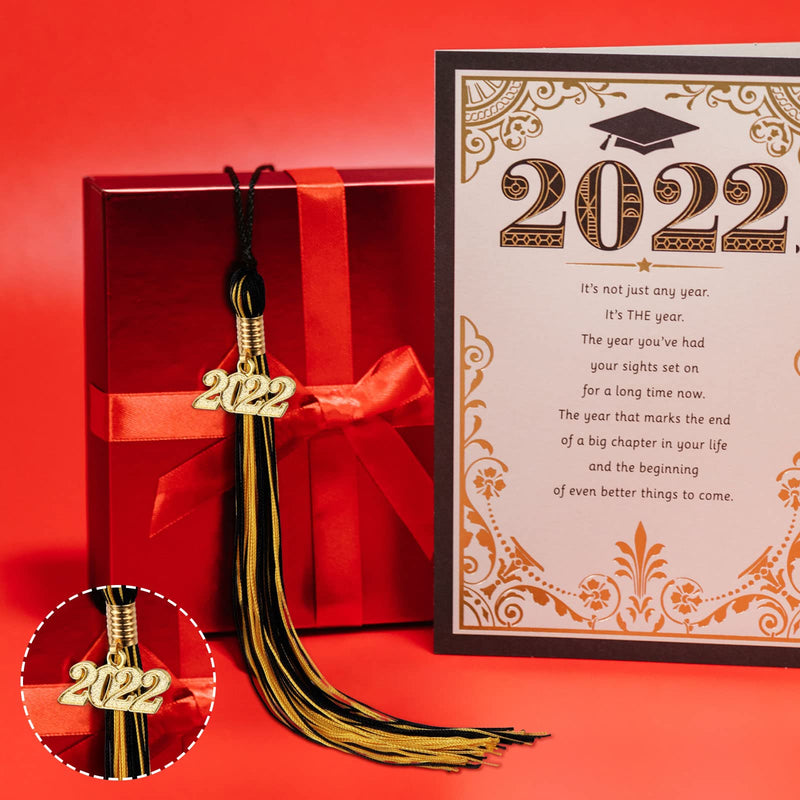 20 Pieces Graduation Cap Tassel with 2022 Year Gold Date Charms Double Color Graduation Tassel Graduation Hat Decoration Tassel for 2022 Graduation Ceremony Party Activities (Black Gold) Black Gold - NewNest Australia