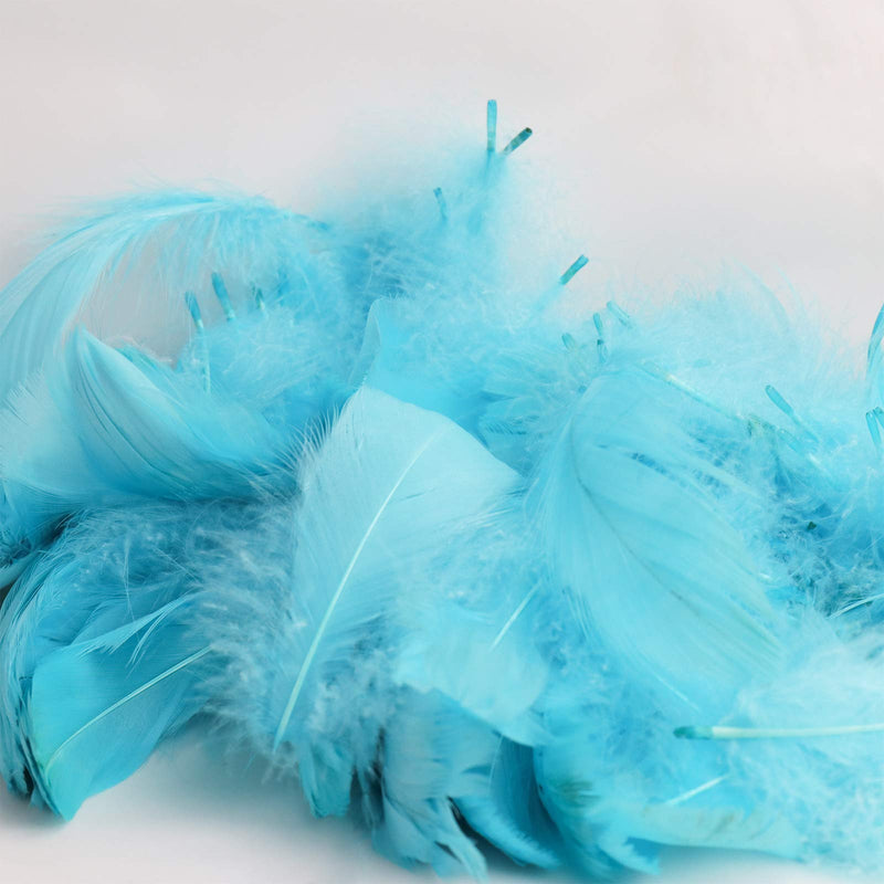 HaiMay 450 Pieces Blue Feathers for Craft Wedding Home Party Decorations, 3-5 Inches Blue Craft Feathers Peacock Blue - NewNest Australia