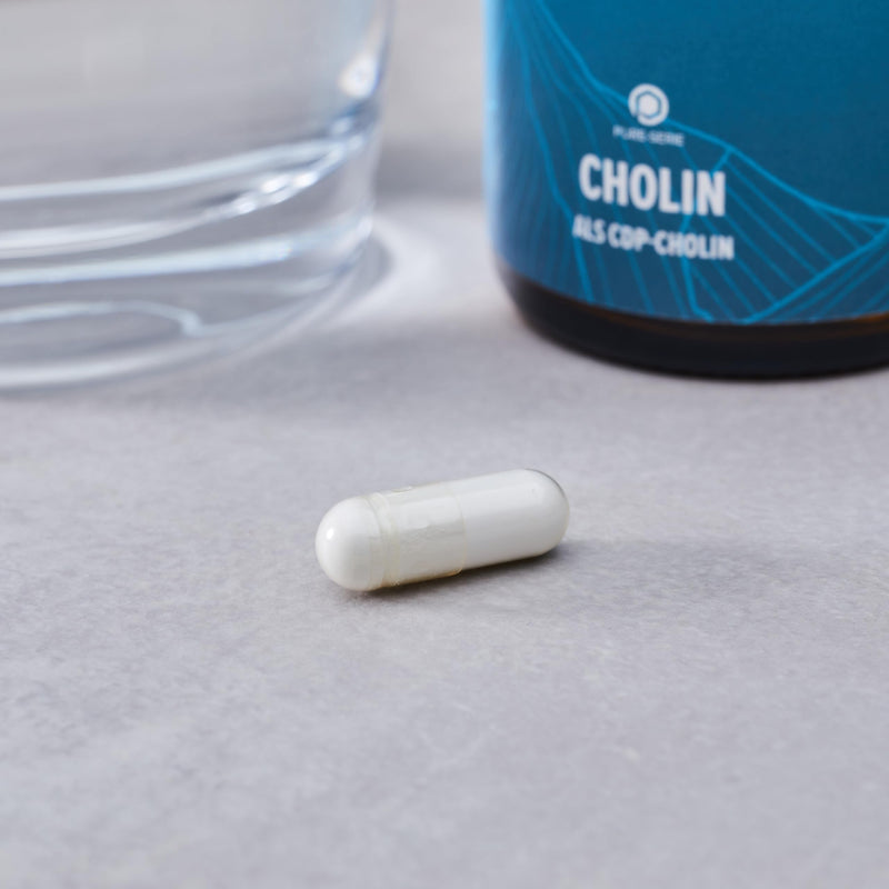 edubily nutrition® choline - 500mg CDP choline from Cognizin® per capsule - high bioavailability - 60 capsules in brown glass - NewNest Australia