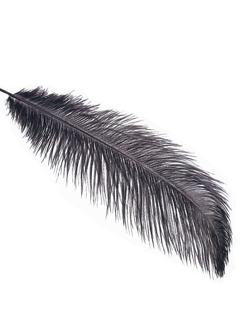 Happy Feather 16-18 inch Black Ostrich Feathers Crafts for Wedding Party Centerpieces Home Decoration DIY Craft Pack of 5 5pcs - NewNest Australia