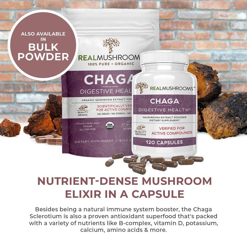 Chaga Extract Immune and Digestive Support Organic Capsules - Non-GMO Supplement with Beta-Glucans 120 Count (Pack of 1) - NewNest Australia