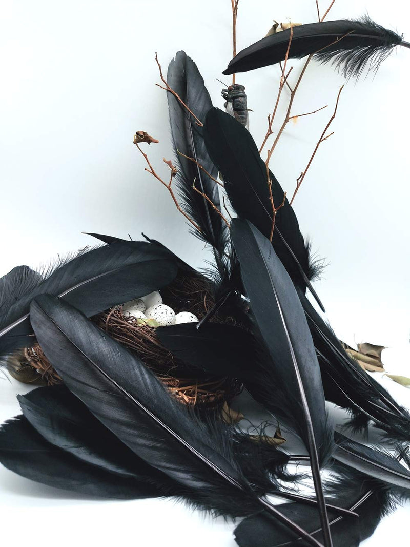100pcs 6-8 inches Black Dyed Natural Goose Feathers for Crafts DIY Wedding Party Decoration Accessories (Black) - NewNest Australia