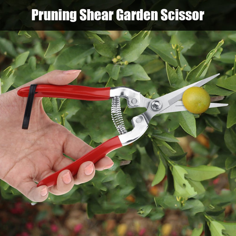 Garden Scissor, Akozon Fruit Tree Bonsai Gardening Pruning Shear Pruner Garden Snips Spring Tool(Straight) Straight - NewNest Australia