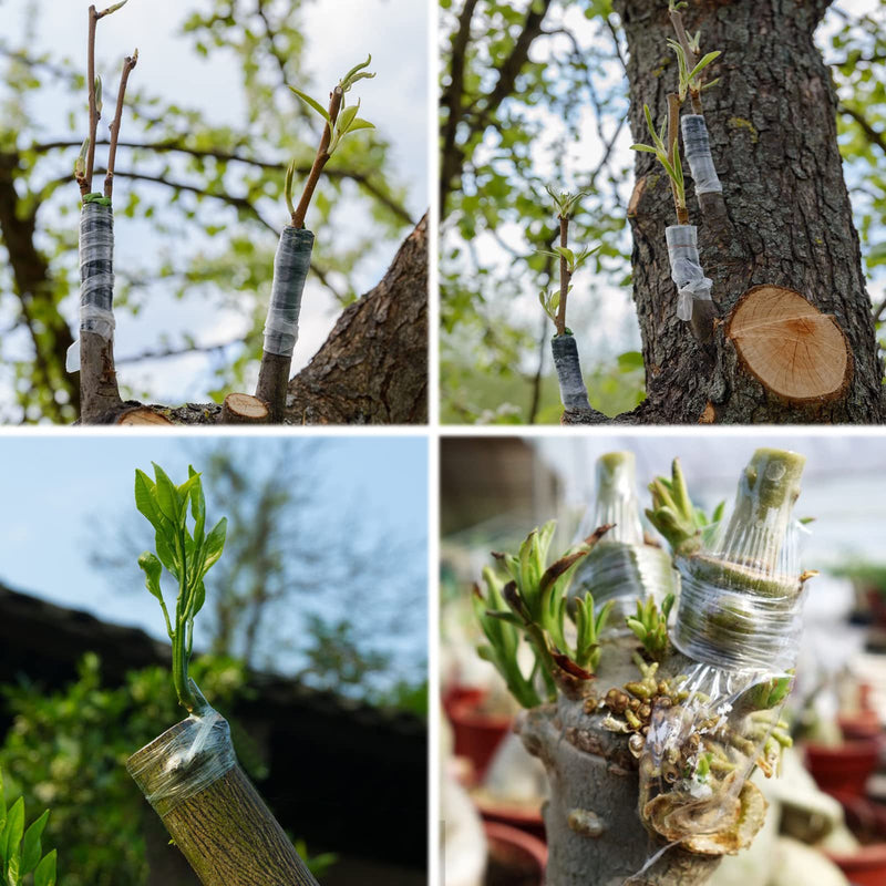 MIDOUWEST Garden Grafting Tape for Fruit Trees,Plant Repair Budding Tape - NewNest Australia