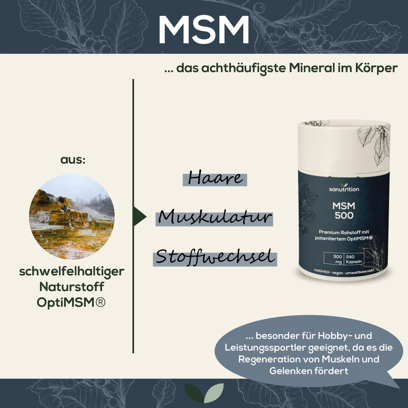 MSM 500 mg per capsule | 240 capsules | High dosage | Organic Sulfur | With branded raw material OptiMSM® with particularly good bioavailability | Vegan | 100% ecological paper packaging - NewNest Australia
