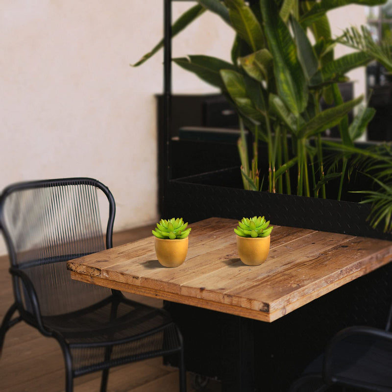 Bathroom Decor,(2-Pack) Artificial Succulents for Home Decor Indoor,Bookshelf Decor,Faux Plants Indoor,Desk Plant,High End Fashion Golden Flower Pot Artificial Succulents Gold Succulents-2 Pcs - NewNest Australia