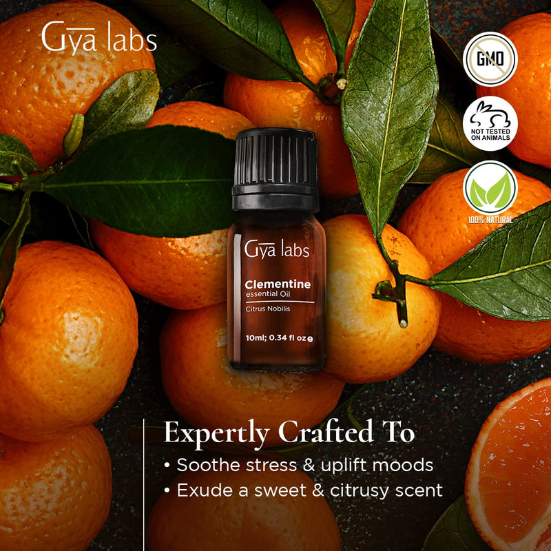 Gya Labs Clementine Essential Oil (10ml) - Zesty & Citrusy Scent 0.34 Fl Oz (Pack of 1) - NewNest Australia