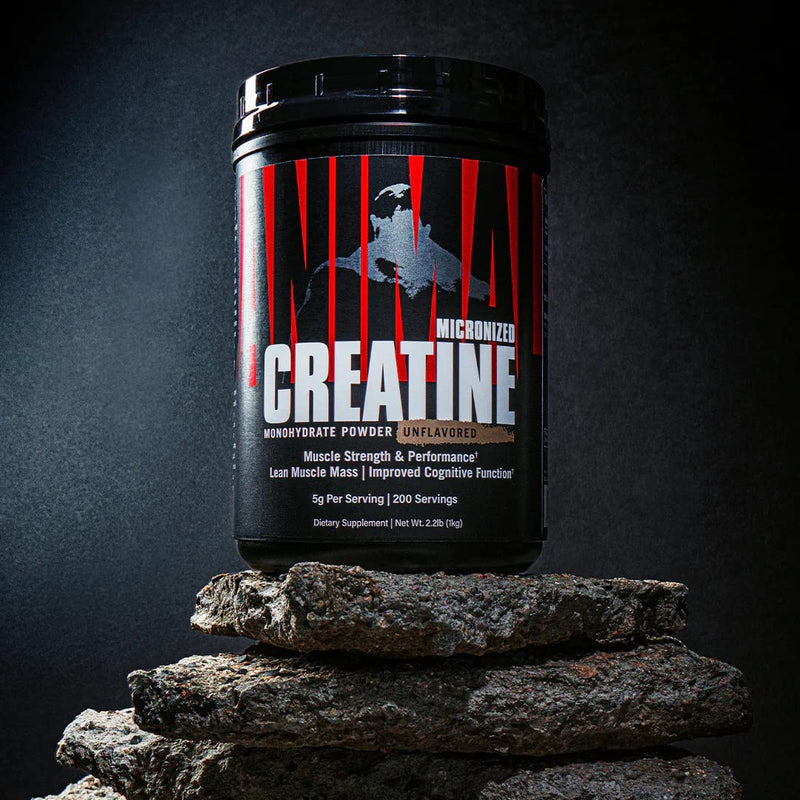 Universal Nutrition Animal Creatine Powder (500G) Contains Easily Absorbent Creatine Monohydrate, Delays Muscle Fatigue, Improves Body Endurance & Training Ability - NewNest Australia