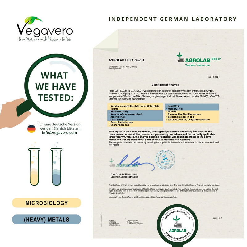 Mushroom Complex | 6 Vital Mushrooms: Reishi, Cordyceps, Shiitake, Chaga, Hericium, Agaricus | Premium: Beta-Glucans + Polysaccharides | Laboratory Tested | Vegan - Pure | German Production By - NewNest Australia