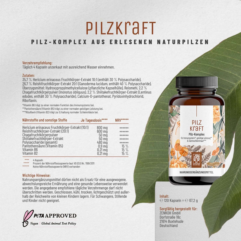 Naturtreu Pilzkraft 120 Capsules Mushroom Complex High Dose With Hericium Erinaceus (Lions Mane) Extract, Chaga, Reishi Extract, Shiitake Extract, Beta Glucan, Vitamin B2, B5 & B6 - NewNest Australia