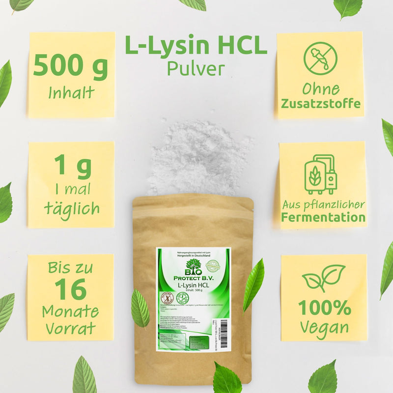L-Lysine powder 500 grams without additives - 100% pure and without magnesium stearate - Vegan - Lysine HCL from Bio Protect BV 500 g (pack of 1) - NewNest Australia