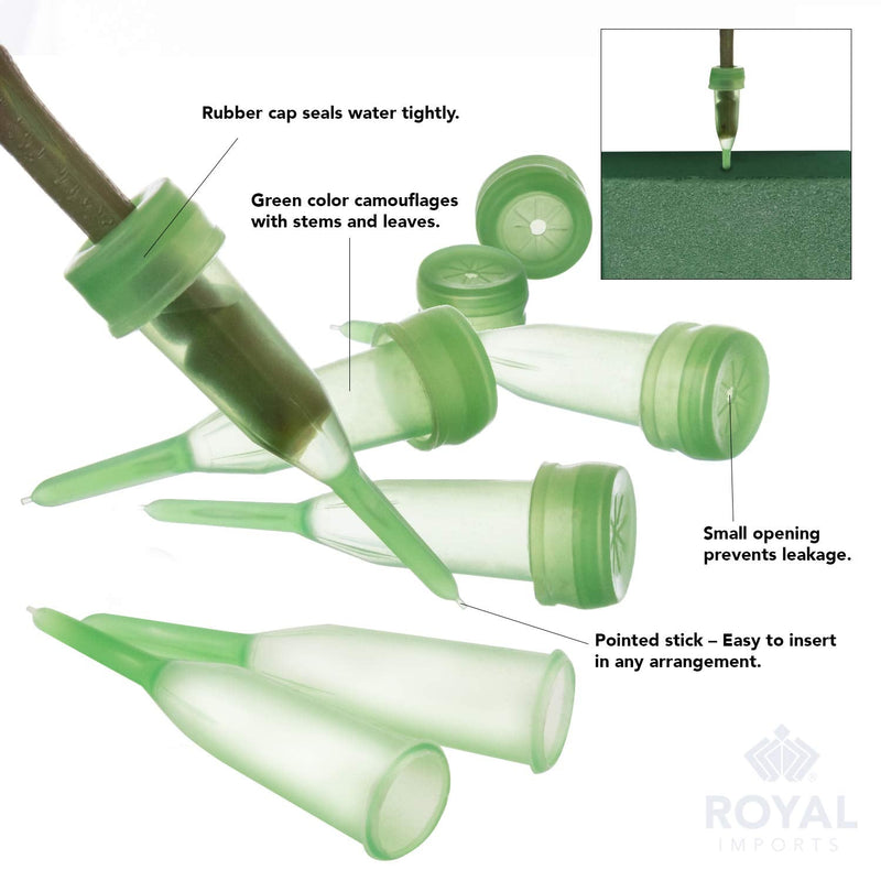 Floral Water Tubes/Vials for Flower Arrangements by Royal Imports, Green - 2.5" (1/2" Opening) - Pointed Style - 100/Pack - w/Caps 2.5" 2.5" Green-Pointed - NewNest Australia