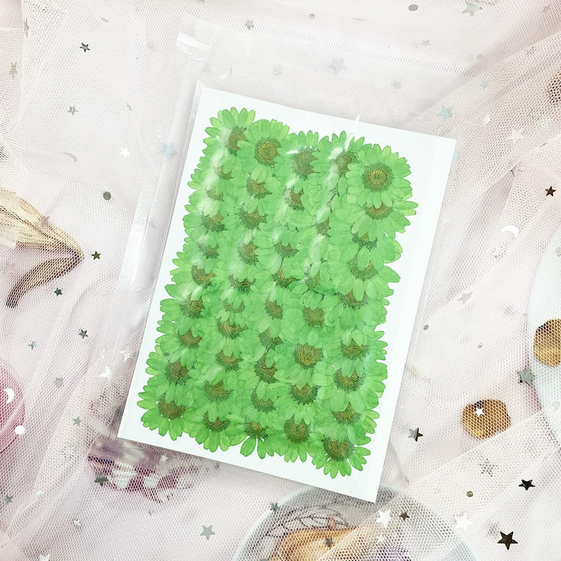 50pcs Natural Dried Daisy Flower, Vacuum Packaging, Pressed Flower for House Decoration, Jewelry Making, Phone case Decoration (Green) Green - NewNest Australia