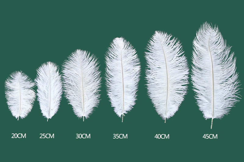 16-18 inches (40~45cm) Real Natural Ostrich Feathers Bulk White,Great Decorations for Christmas Halloween Home Party Wedding Centerpieces (10) White 10pcs - NewNest Australia