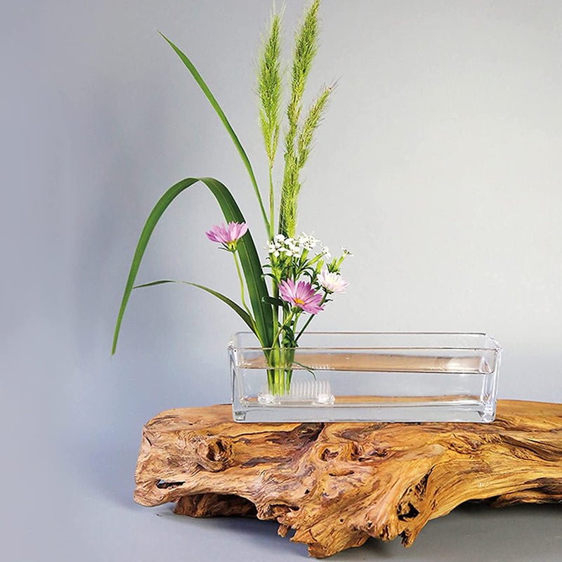 Clear Flower Frog Plastic Kenzan Floral Frog Ikebana Flower Arrangement Pin Frog Holder for Glass Plastic Ceramic Vase (Rectangle+Round) Rectangle+Round - NewNest Australia