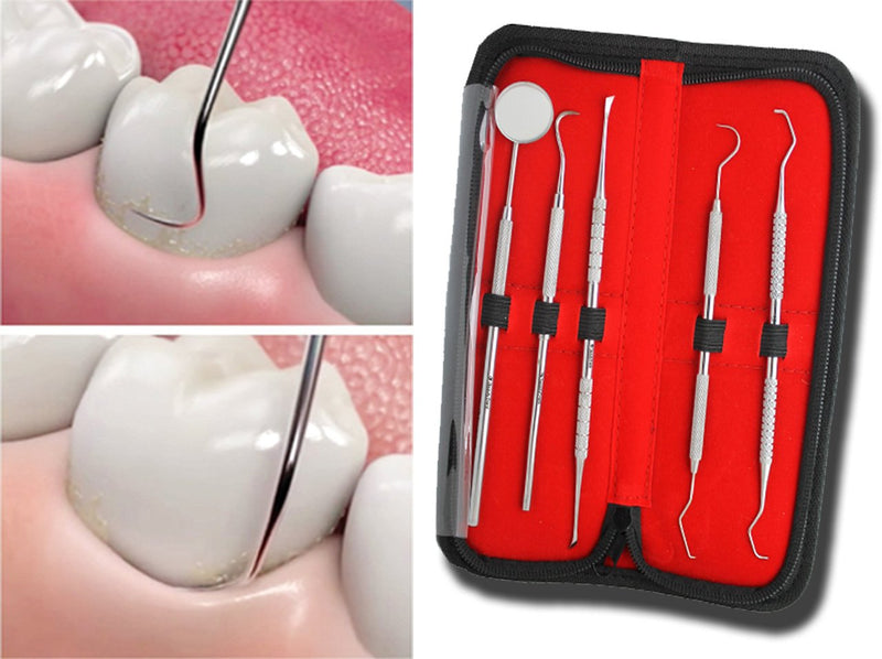 BeautyTrack 5pc Dental Care Kit with Instruction Booklet,Top Class Stainless Steel Plaque and Tartar Remover Set for Teeth Cleaning Contains,Eraser,Scraper,Mirror,Probe,Picks Storage Travel Gift Case - NewNest Australia