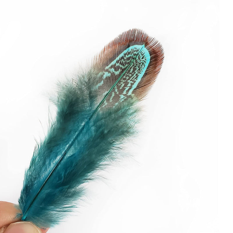 50 pcs Natural Pheasant Plumage Feathers 2-3 Inches Plumage Feathers for Sewing Crafts Clothing Decorating Accessories -Blue Blue 50pcs - NewNest Australia