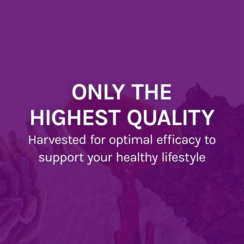 Host Defense, MyCommunity Capsules, Advanced Immune Support, Mushroom Supplement with Lion’s Mane and Reishi, 30 30 Count (Pack of 1) Standard Packaging - NewNest Australia