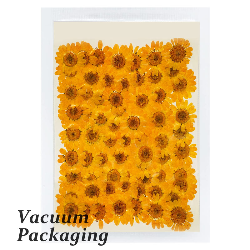 HEISENLIN Dried Pressed Flowers, 60 PCS Orange Natural Real Pressed Dried Daisy Flowers, Dry Flowers with Tweezers for Resin Scrapbooking DIY Candle Decor Jewelry Soap Crafts Making Daisy-Orange - NewNest Australia