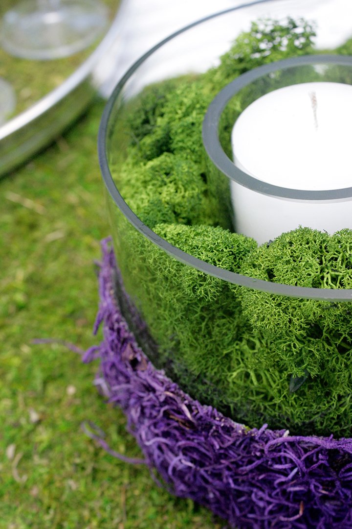 SuperMoss (21757) Reindeer Moss Preserved, Forest, 8oz (200 cubic inch) - NewNest Australia