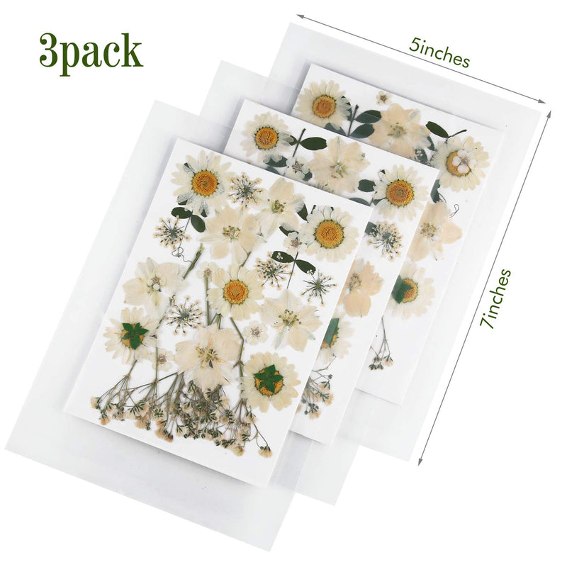 Nuanchu 81 Pieces Real Dried Pressed Flowers Leaves, Flower Field Series, Daisies, Larkspur, Gypsophila, Natural Pressed Flowers for Resin Jewelry Scrapbooking Art Floral Decorations White - NewNest Australia