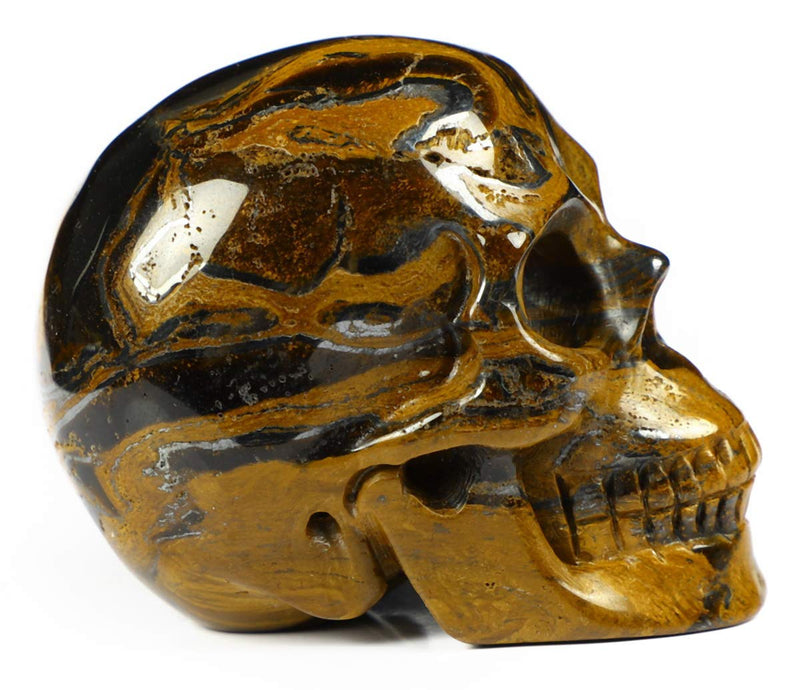 NewNest Australia - Skullis 2.0” Tiger Iron Eye Crystal Skull, Hand Carved Gemstone Fine Art Sculpture, Reiki Healing Stone Statue. Tiger Iron Eye 2 