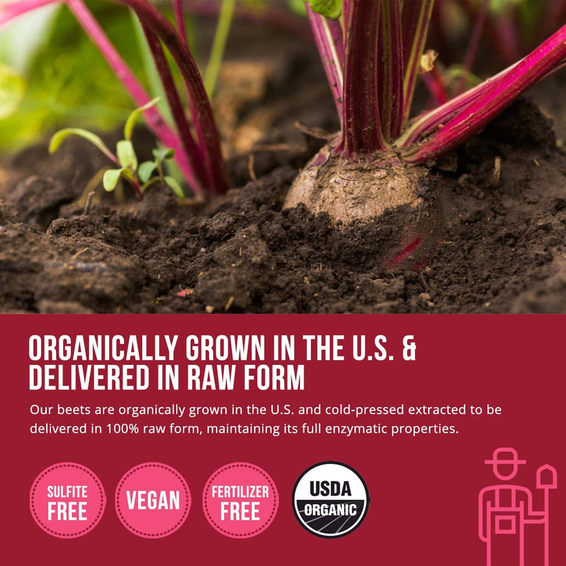 BioBeet® Beet Juice (Black Cherry Flavor) – Max Strength, 20x High Concentration Than Beet Root Powder – Organic, Cold-Pressed, USA Grown, Raw Form – Nitric Oxide, Circulation Support (50 Servings) - NewNest Australia