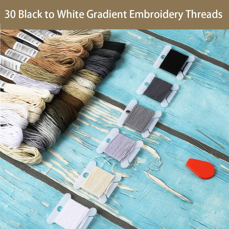 Pllieay 30 Skeins Black to White Gradient Grey Embroidery Floss, Cross Stitch Threads Friendship Bracelets Floss with 6 Floss Bobbins, 2 Embroidery Needles and Needle Threader - NewNest Australia