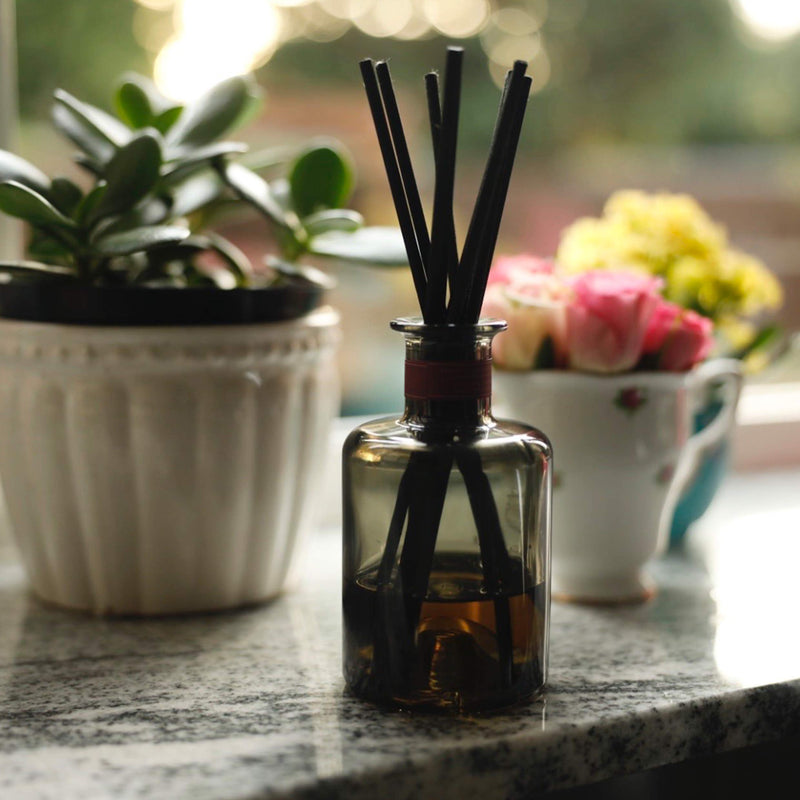 Ziffs Home® 120 Black Fibre Reed Diffuser Sticks - 20cm x 4mm - Thick Diffuser Reeds Sticks - Diffuser Sticks for Diffuser Oils Fragrance Refill - Fibre Reeds for Diffusers - NewNest Australia