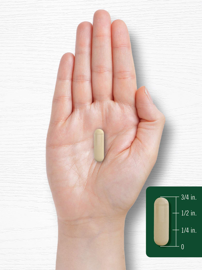 Cloves Supplement | 1000mg | 100 Capsules | Non-GMO, Gluten Free | by Carlyle - NewNest Australia