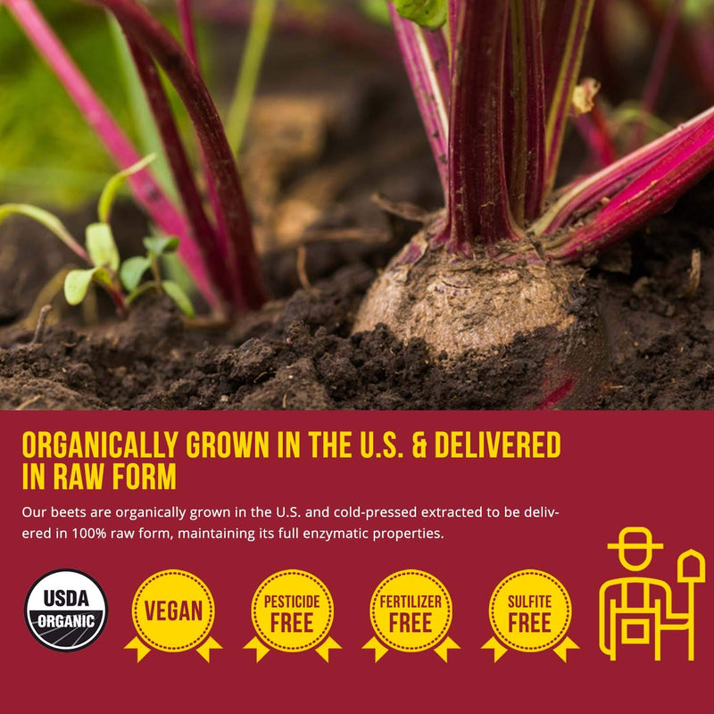 BioBeet® Max Strength Beet Root Juice Powder – 20:1 Concentrate, Each Serving Derived from 60,000 mg Organic Beetroot - Cold-Pressed, USA Grown – Nitric Oxide, Circulation Support – 50 Servings - NewNest Australia