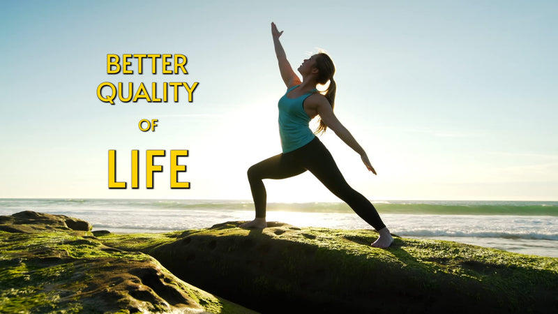 Liverite Liver Aid 120 Tablets, Liver Support, Liver Cleanse, Liver Care, Liver Function, Energy. - NewNest Australia