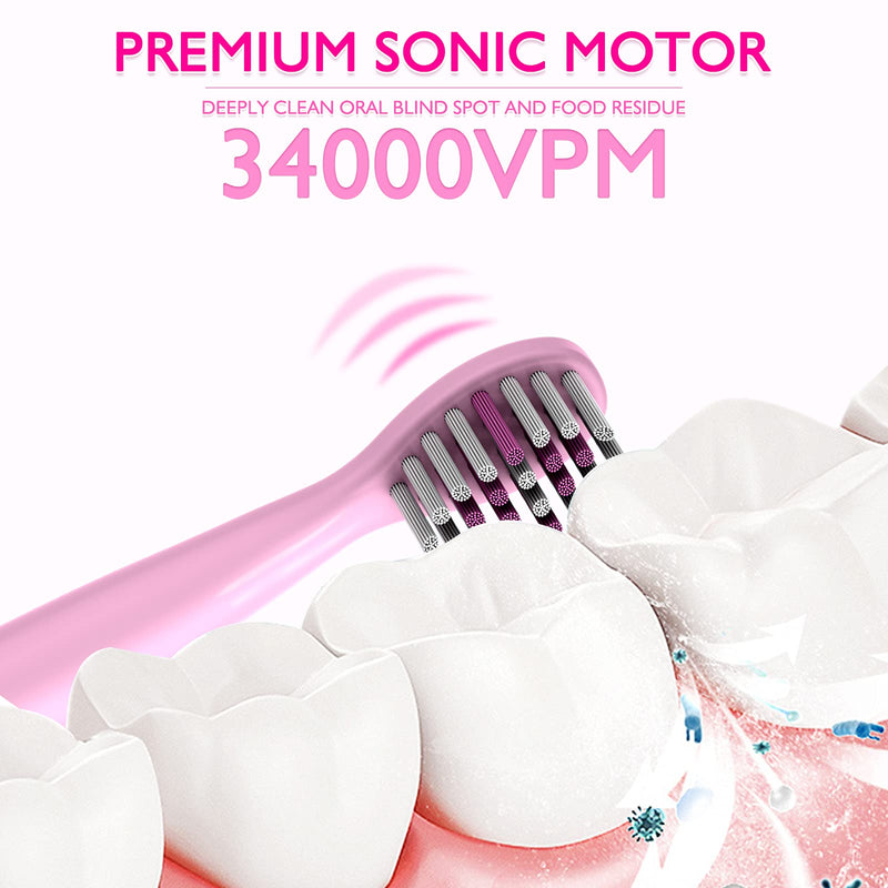 Dinosaur Toothbrush, Kids Sonic Electric Toothbrush for Children, Toddlers Boys Girls Age 3-12 with 30s Reminder, 2 Mins Timer, 5 Modes, 6 Brush Heads, Rechargeable, Wall-Mounted Holder 8680 Pink+ 6 Heads+ Holder(package Might Vary) - NewNest Australia