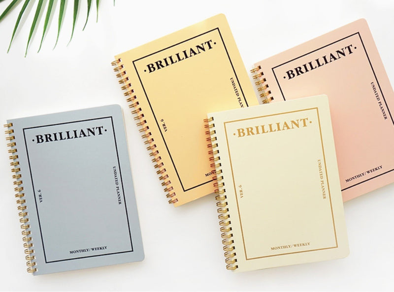 PAPERIAN Brilliant Monthly & Weekly Planner - Wirebound Undated Monthly &Weekly Planner Book Scheduler Diary (Grey Sky) Grey Sky - NewNest Australia