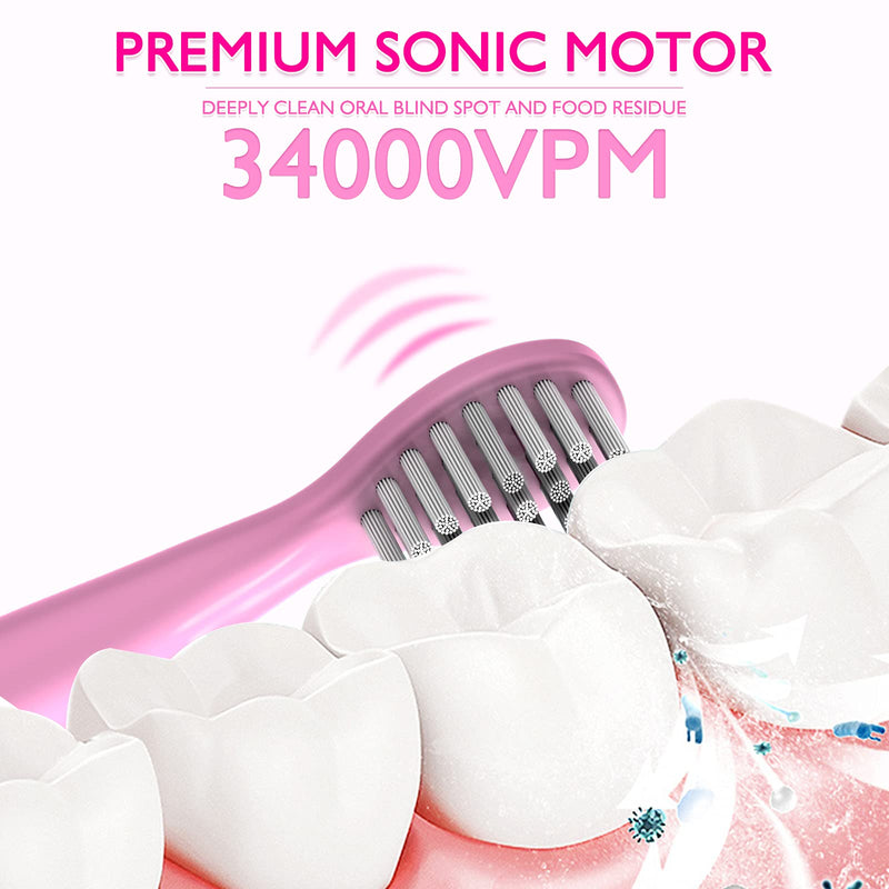 CHAIN PEAK Kids Sonic Electric Toothbrush, Cute Bear Rechargeable Toothbrush for Children, Boys Girls Age 3-12 with 30s Reminder, 2 Min Timer, 5 Modes, 8 Brush Heads, Bear Toothbrush Pink+8 Heads - NewNest Australia
