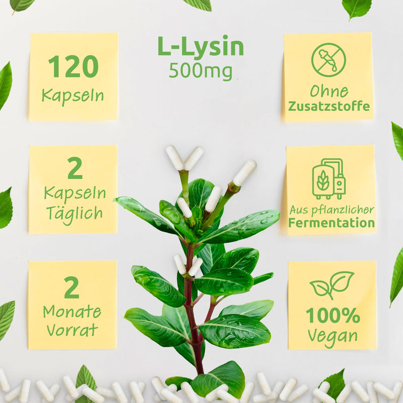 L-Lysine 500 Mg - 120 Capsules Without Additives - High Dose With 1000 Mg Per Daily Dose - Made From Vegetable Fermentation - Laboratory Tested - Bio Protect - NewNest Australia