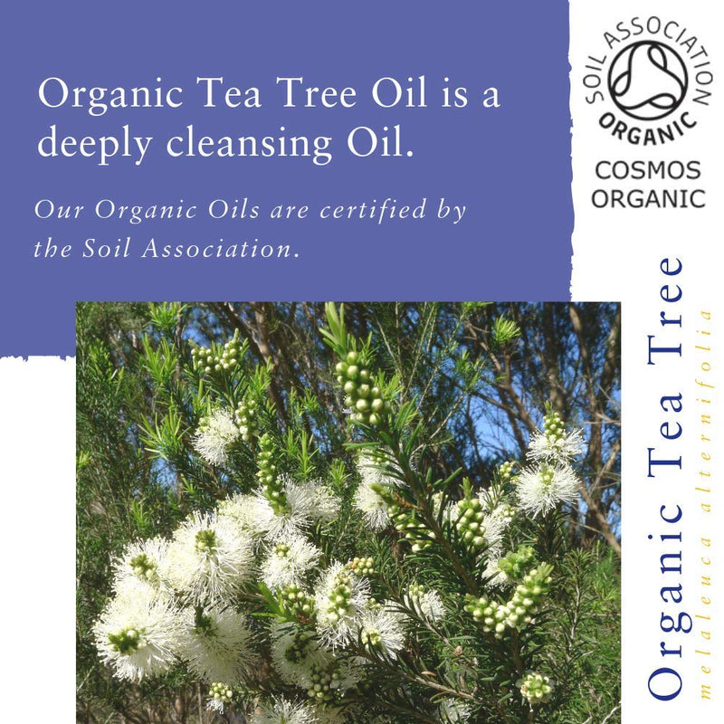 Absolute Aromas Organic Tea Tree Essential Oil 10ml - Pure, Natural, Undiluted, Cruelty Free and Vegan – for Aromatherapy, Diffusers and Face, Hair, Skin and Nail Care - NewNest Australia