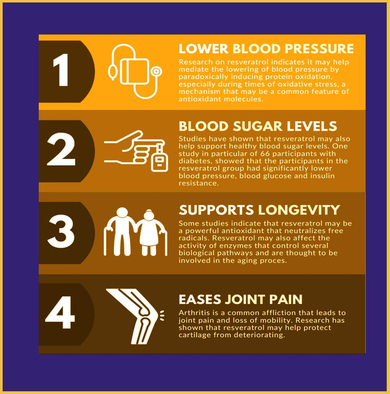 Resveratrol Supplement | 90 Capsules | Anti-Ageing| Nerve Cell Booster | Cell Protection| Effective 150MG X2 Split Dose| Blood Pressure Wisdom Shield Pro - NewNest Australia