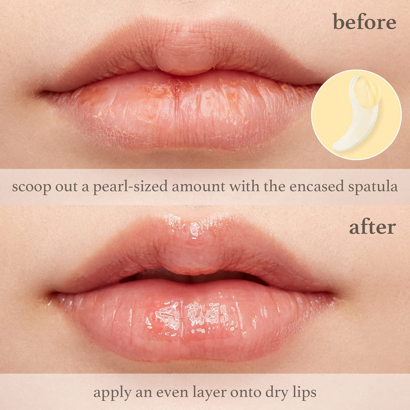 NOONI Applebutter Lip Mask with Shea Butter, Botanical Waxes, and Vitamins A,C & E | Moisturizing Overnight Lip Mask | Korean Skincare for Cracked Lip Repair | Cruelty-free, Formulated without Glutens and Parabens 0.42 Ounce (Pack of 1) - NewNest Australia