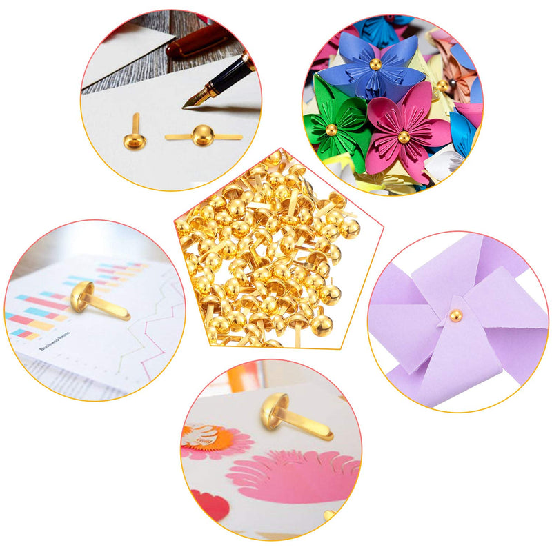 500 Pieces Paper Fasteners Brads Round Fasteners with White Paper Box for Art Crafting School Project Decorative Scrapbooking DIY Supplies (Golden,0.3 x 0.6 Inch) Golden 0.3 x 0.6 Inch - NewNest Australia