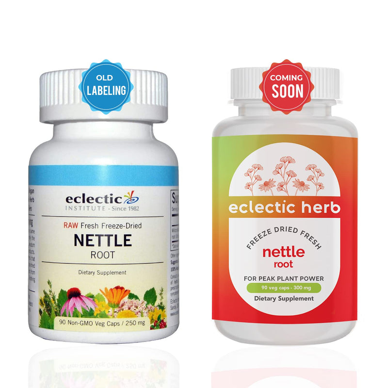 Eclectic Institute Raw Fresh Freeze-Dried Non-GMO Nettle Root | Prostate, Urinary Tract, and Male Support | 90 CT (250 mg) - NewNest Australia